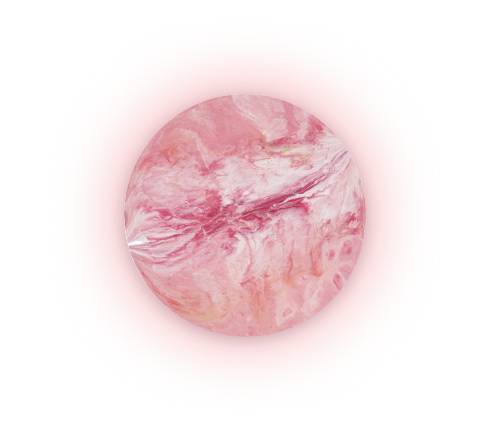 Le Bourbon Bordeaux Restaurant Bordeaux Groupe De Masques 21 2